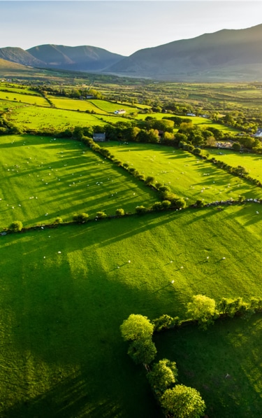 Irische Landschaft mit saftigen Wiesen