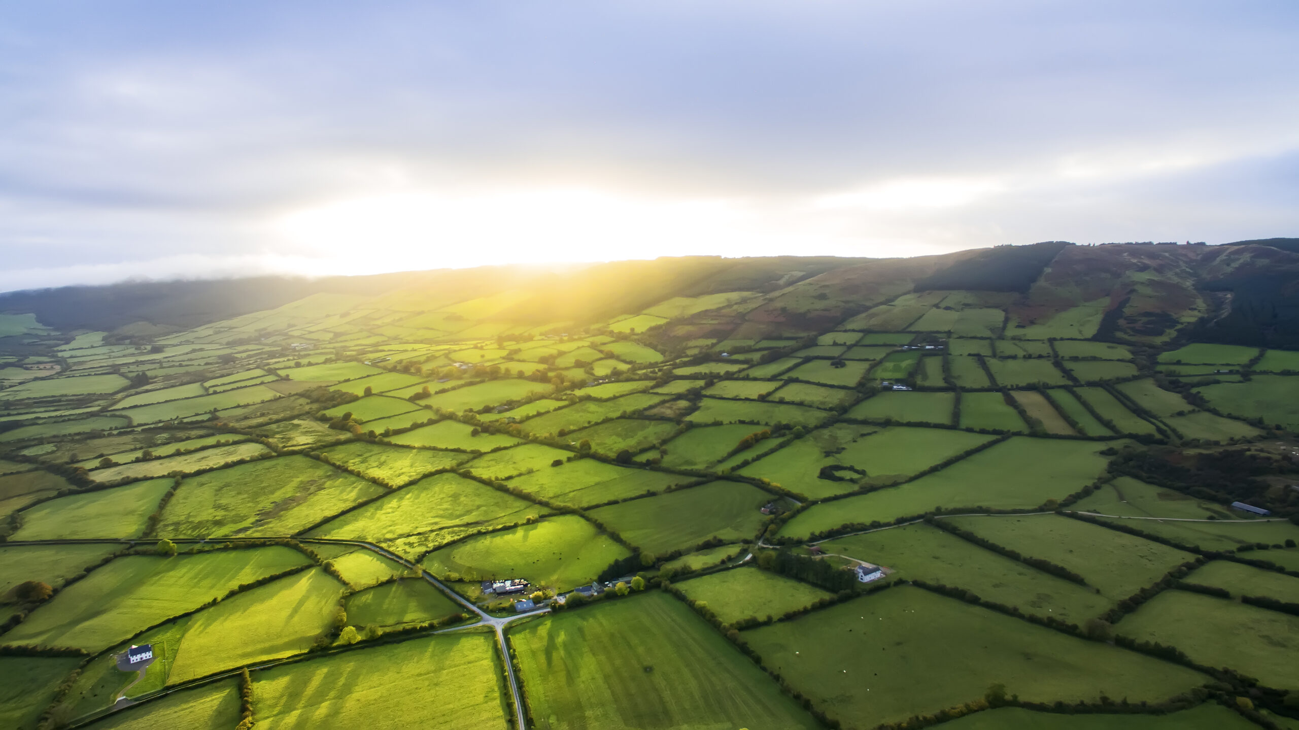 Nachhaltige Schafhaltung – das bedeutet Landwirtschaft im Einklang mit der Natur. Unsere Lammherden stehen ganzjährig an der frischen Luft.