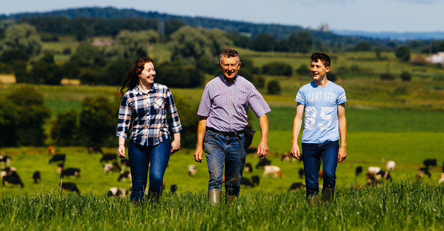 Irische Farmer und ihre Tiere